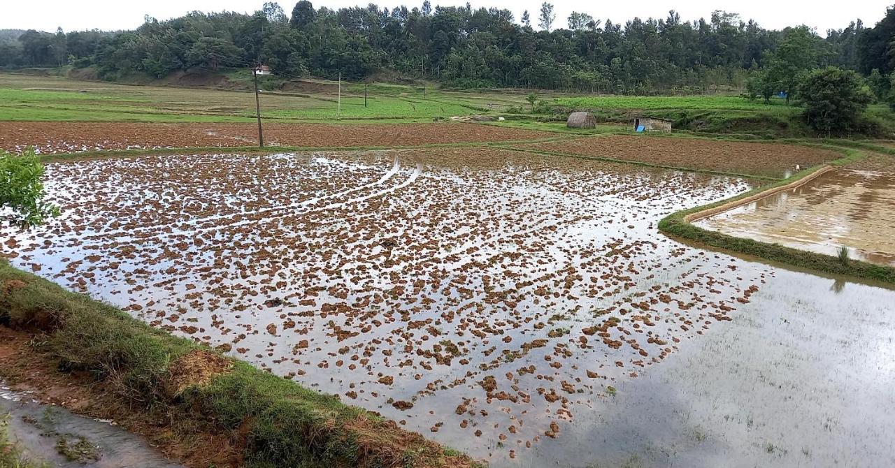 Coorg Coffee Park Farmstay Somvārpet Exteriér fotografie