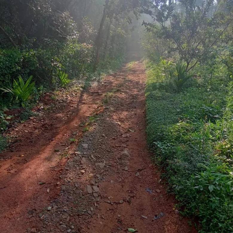 Coorg Coffee Park Farmstay Somvārpet Exteriér fotografie