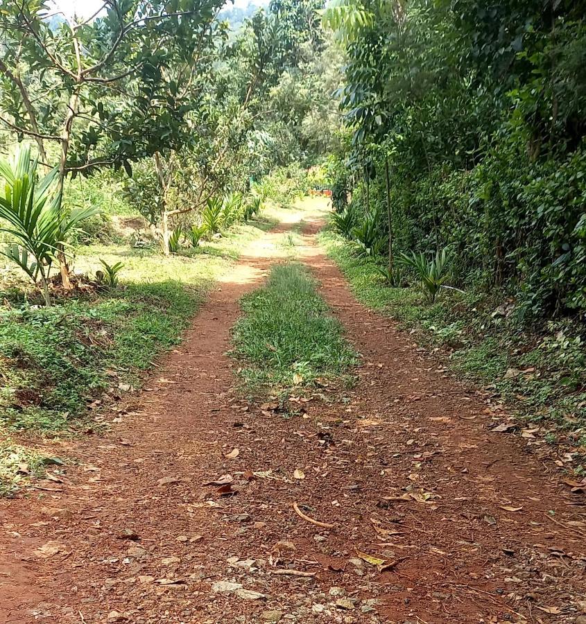 Coorg Coffee Park Farmstay Somvārpet Exteriér fotografie