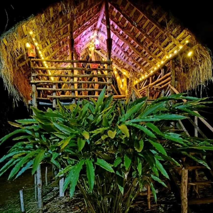 Coorg Coffee Park Farmstay Somvārpet Exteriér fotografie