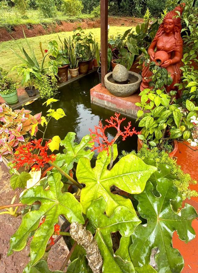 Coorg Coffee Park Farmstay Somvārpet Exteriér fotografie