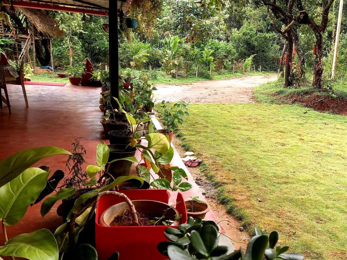 Coorg Coffee Park Farmstay Somvārpet Exteriér fotografie