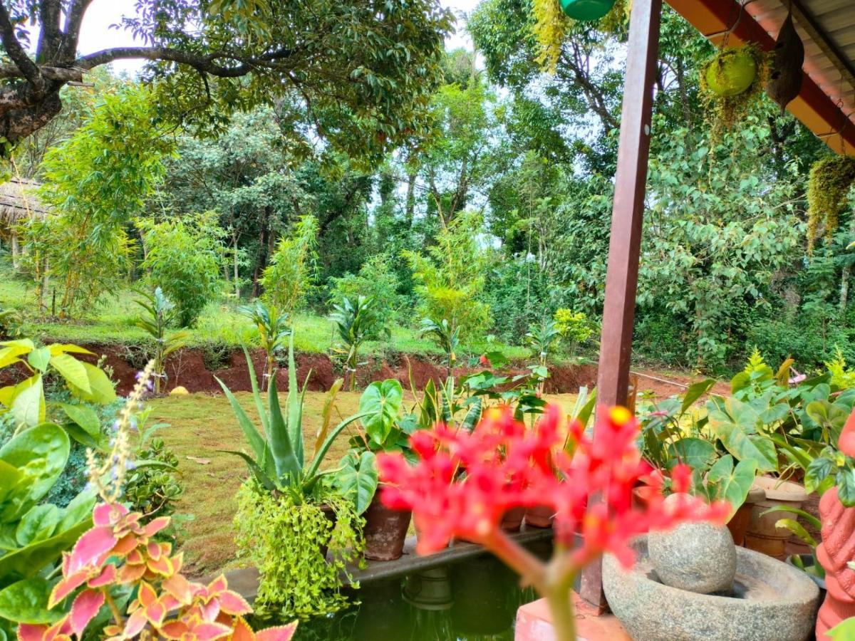 Coorg Coffee Park Farmstay Somvārpet Exteriér fotografie