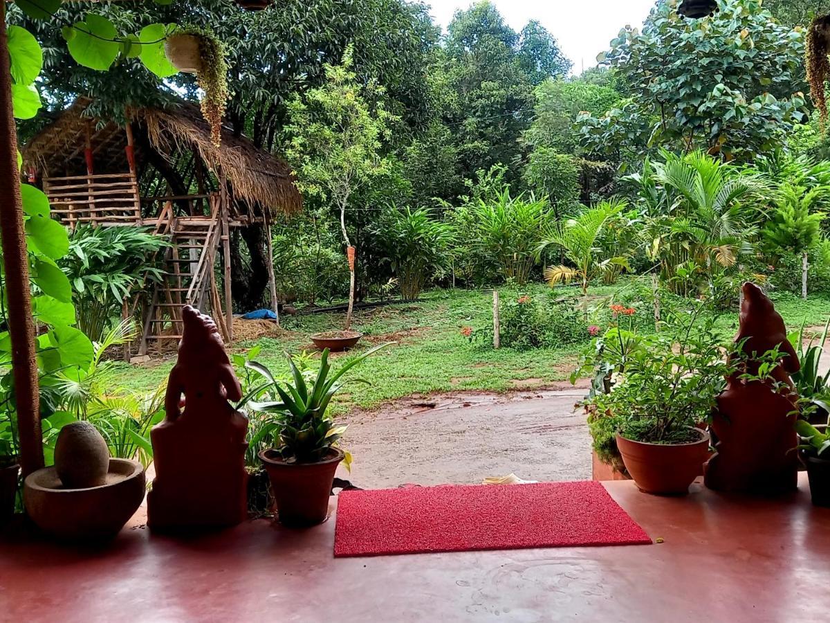 Coorg Coffee Park Farmstay Somvārpet Exteriér fotografie