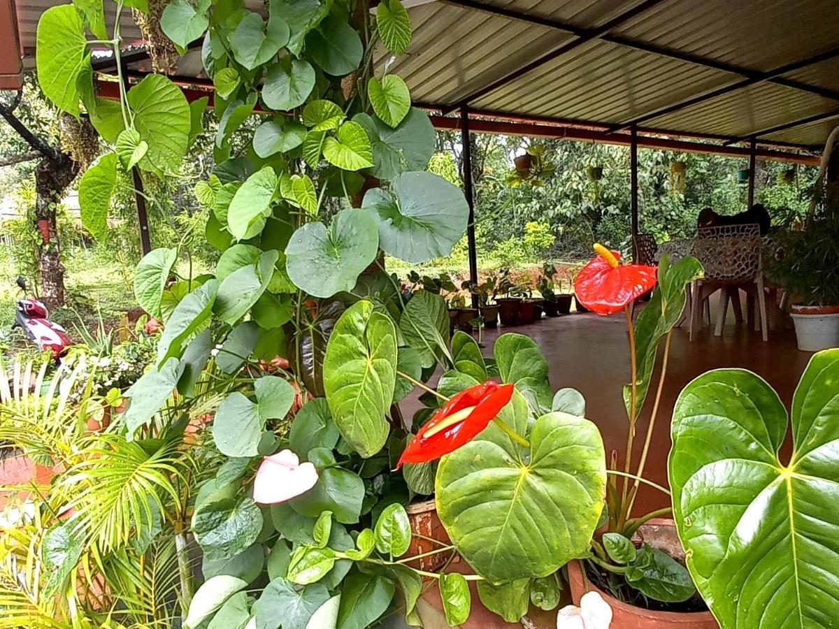 Coorg Coffee Park Farmstay Somvārpet Exteriér fotografie