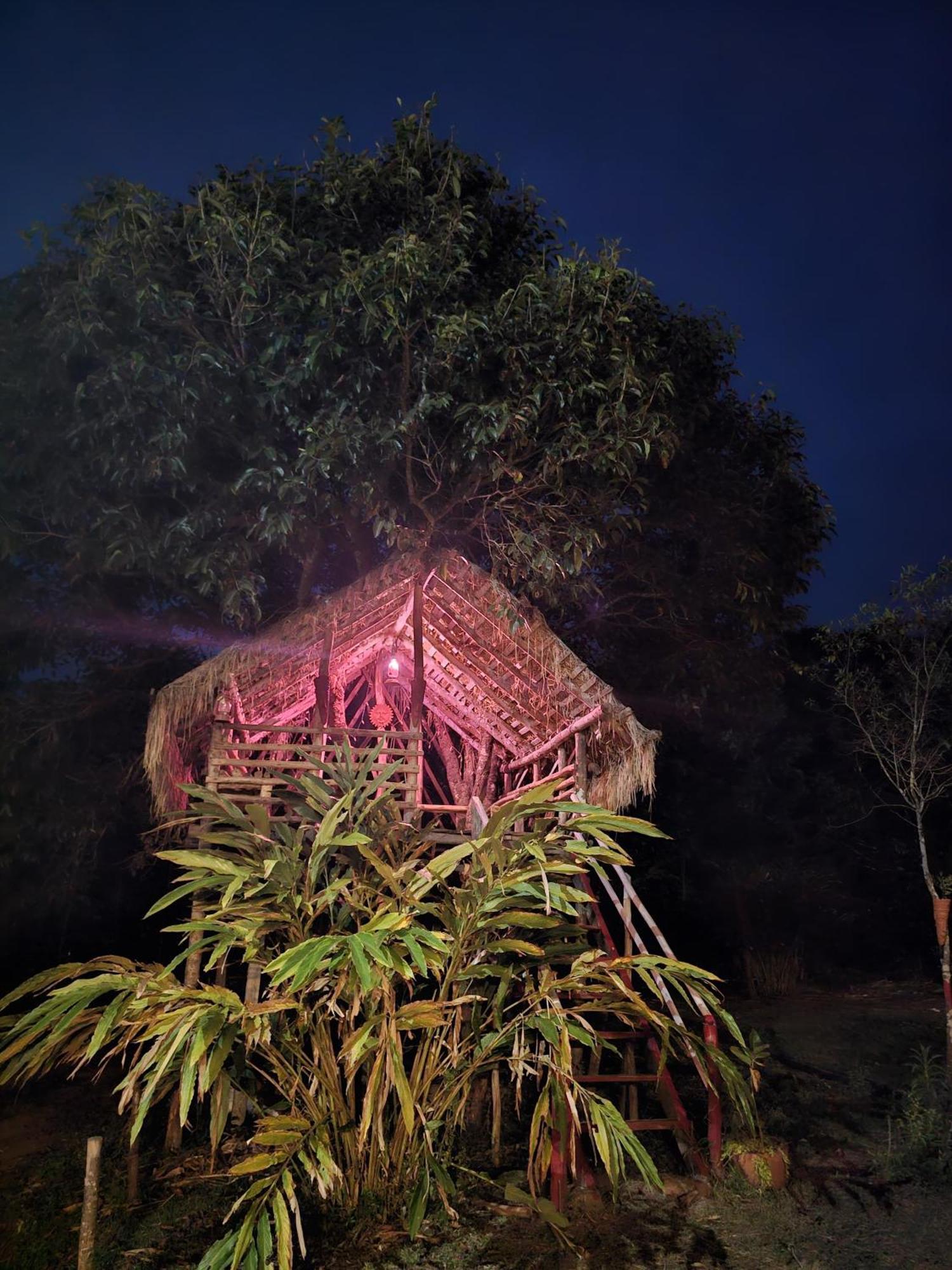 Coorg Coffee Park Farmstay Somvārpet Exteriér fotografie