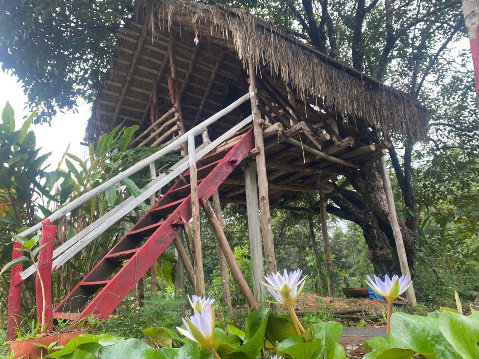 Coorg Coffee Park Farmstay Somvārpet Exteriér fotografie