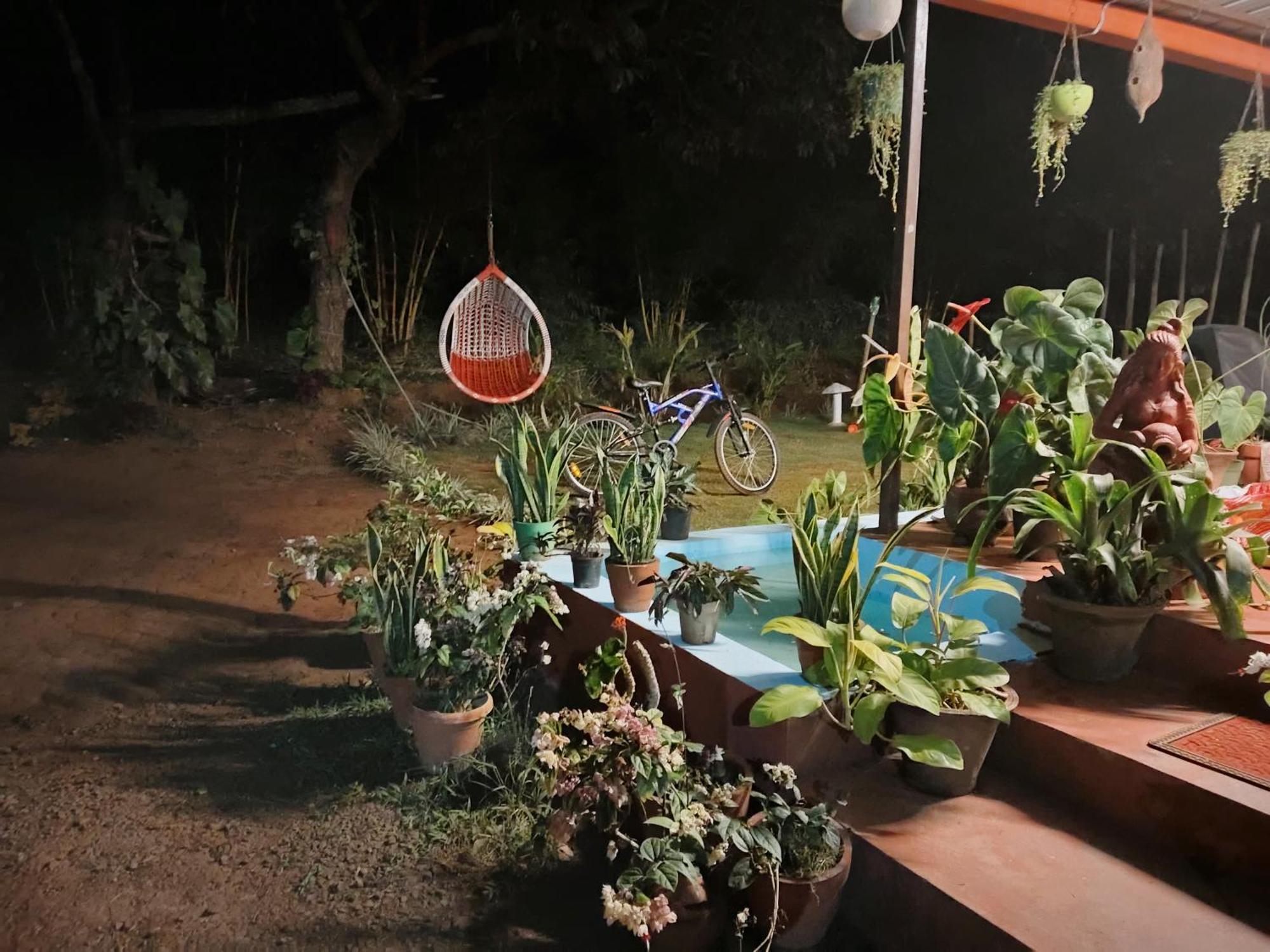 Coorg Coffee Park Farmstay Somvārpet Exteriér fotografie